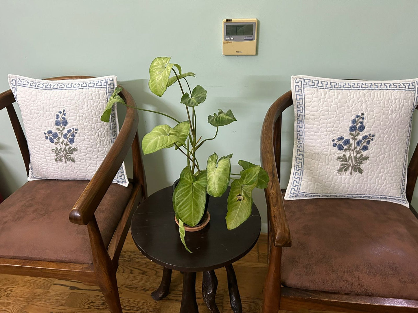 Neelam Bagh Hand Block Print Cushion Covers - Quilted (Set of 2)