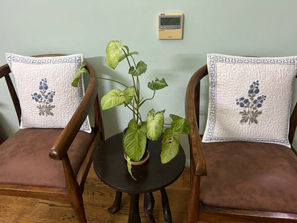 Neelam Bagh Hand Block Print Cushion Covers - Quilted (Set of 2)